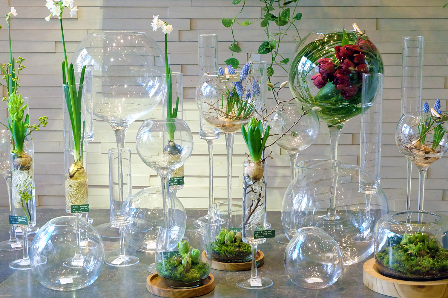 96％以上節約 ガラスの花器
