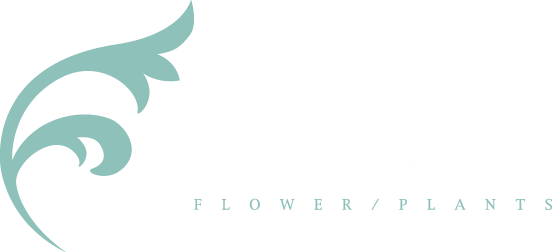 FUGA FLOWER / PLANTS